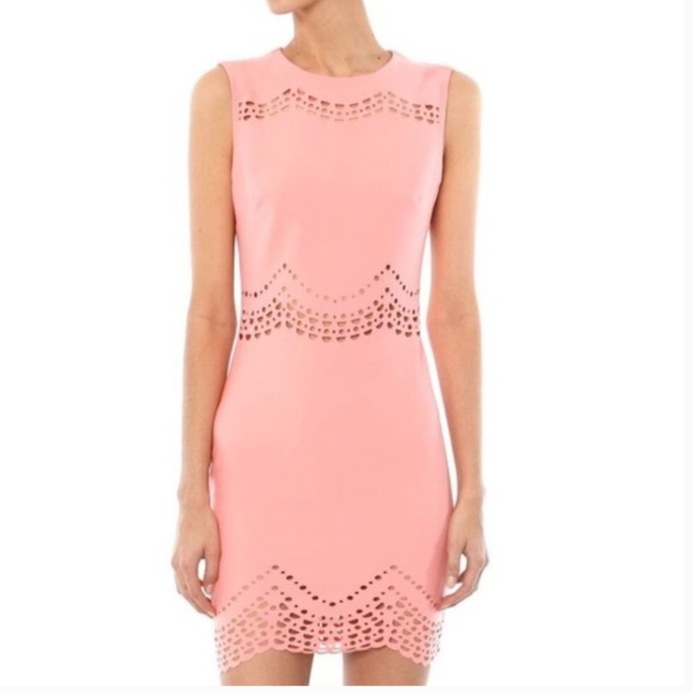 Elizabeth & James Merna Scalloped Mini Dress - Size 4